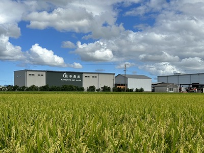 1449 特選米　コシヒカリ　10㎏