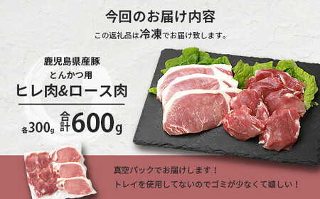 鹿児島県産豚 とんかつ用 ロース ヒレ 2種セット 豚ロース 豚ヒレ トンカツ A6-179_肉  豚肉 _【配送不可地域：離島】【1166399】