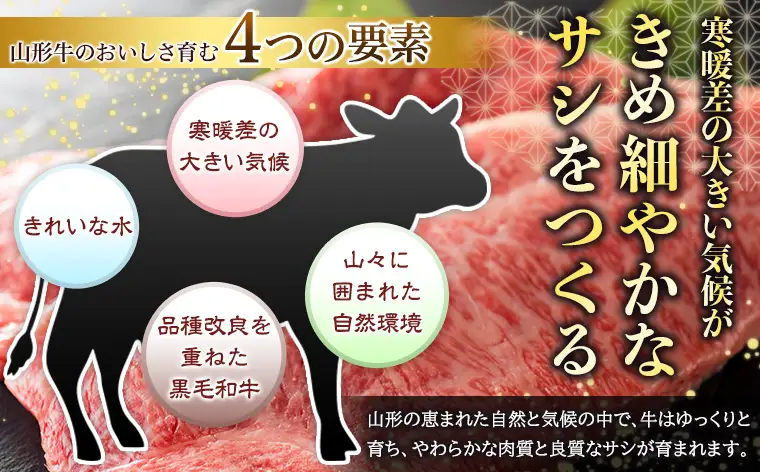 【2週間以内発送！】山形牛みそ漬 食べ比べセット 600g(肩ロース300g・モモ300g) 牛肉味噌漬 FZ23-744