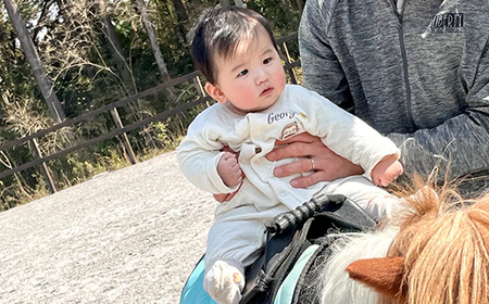 うまんまパーク 入場券 チケット おやつバケツ付き 2枚セット 馬 ふれあい 触れ合い パーク 牧場 乗馬 体験 観光 体験型 レジャー エサやり 引退競走馬 ポニー 癒し 関東 茨城県 阿見町（55-01）