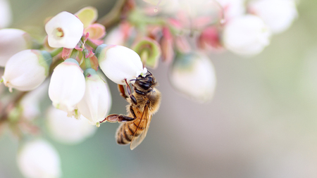 季節で移ろう 田舎 はちみつ 7種 ギフトセット [結蜜 Musubi-R7] 【茨城県共通返礼品／五霞町】  120g×7 瓶 [BS007sa]