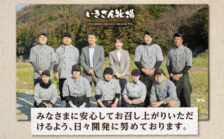 【お中元対象】一貴山豚 ハム・ソーセージ 4種セット『匠』  糸島市 / いきさん牧場 豚 肉 [AGB025]