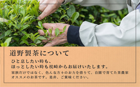 ほっこり煎茶 100g×3袋 A5-1_鹿児島茶 緑茶 かごしま茶 一番茶 特上 煎茶 セット 人気 茶葉 香り高い 深い味わい お茶 旨み 甘み 国産 お取り寄せ 茶 鹿児島県 枕崎市 送料無料_【配送不可地域：離島】【1440015】