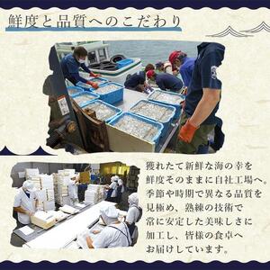 訳アリ　厳選生しらす　500g　おさしみしらす AR007