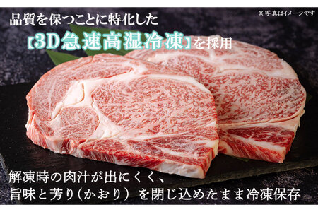 宮崎牛 A4 赤身 ステーキ 150g×3枚 特製ステーキソース シーズニング付 [南海グリル 宮崎県 美郷町 31bg0016]