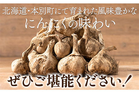 【先行予約】土付き にんにく 白玉王 1kg Lサイズ 本別町産 斎啓一 《2026年8月上旬-9月末頃出荷》