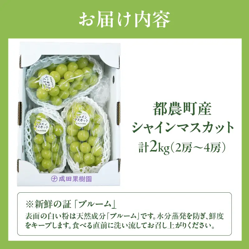先行予約≪期間限定≫都農町産シャインマスカット(計2kg) ぶどう 果物 国産_T010-0015