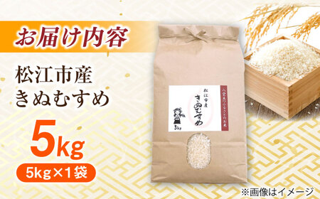 【寄附額改定】白米 数量限定50個 きぬむすめ 5kg [ALDS020]白米