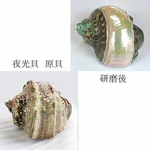 夜光貝を素材にした「かんざし」貝工房かざはな【KS-7】