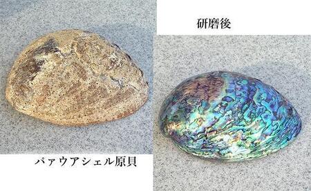 パァウアシェルを素材にした「シルバーバングル」貝工房かざはな【UC-3】