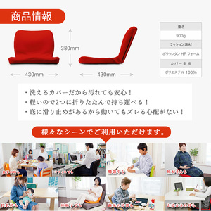 p!nto 背もたれ付きクッション レッド p!nto (pinto/ピント) 〜姿勢を考えたクッション。座るだけで体が