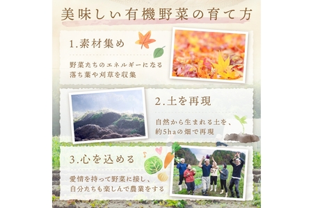【年6回定期便】＜てんとうむしばたけ＞オーガニック野菜セット　有機野菜11～12種(4人用)
