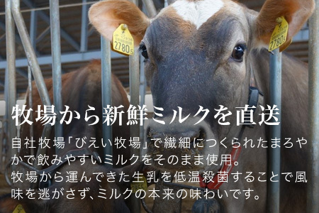 ジェラート 北海道産 生乳 12個 贅沢ジェラート詰合わせ   [019-21]