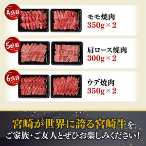 【6ヶ月定期便】宮崎牛焼肉定期便 全6回【 肉 牛肉 国産 宮崎県産 】
