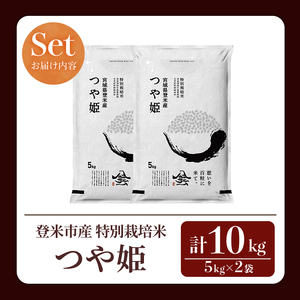 ≪令和7年産≫ 特別栽培米 つや姫 10kg (5kg×2袋)  登米市産 お米 おこめ 米 コメ 白米 ご飯 ごはん おにぎり お弁当 【登米ライスサービス株式会社】tm155