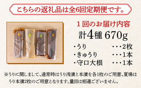 【全6回定期便】奈良漬 「琥珀漬」670g ご家庭用 詰め合わせ [ABAE029] 