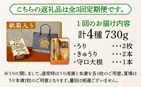 【全3回定期便】奈良漬 「琥珀漬」730g 紙箱入り  [ABAE037] 