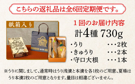 【全6回定期便】奈良漬 「琥珀漬」730g 紙箱入り  [ABAE038] 