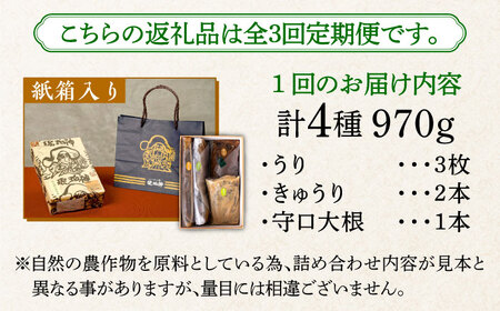【全3回定期便】奈良漬 「琥珀漬」紙箱入り 970g [ABAE049] 