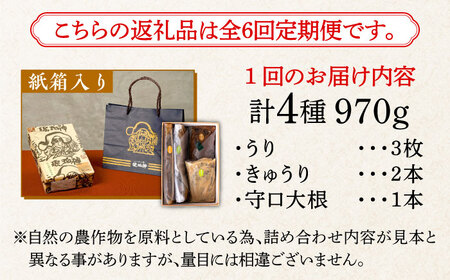 【全6回定期便】奈良漬 「琥珀漬」紙箱入り 970g [ABAE050] 