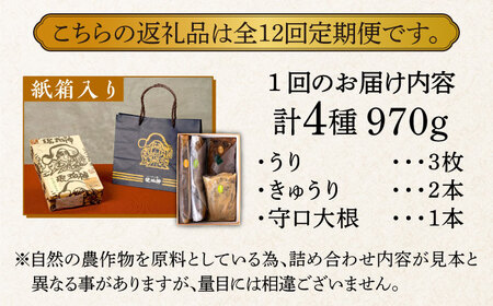【全12回定期便】奈良漬 「琥珀漬」紙箱入り 970g [ABAE051] 