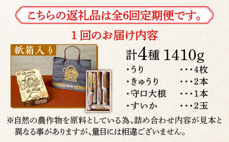 【全6回定期便】奈良漬 「琥珀漬」 木箱入り 1410g [ABAE053] 
