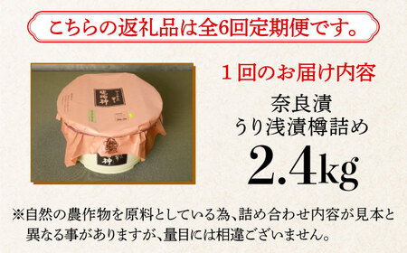 【先行予約】【全6回定期便】奈良漬 「琥珀漬」 うり浅漬 樽詰め 2.4kg [ABAE056] 