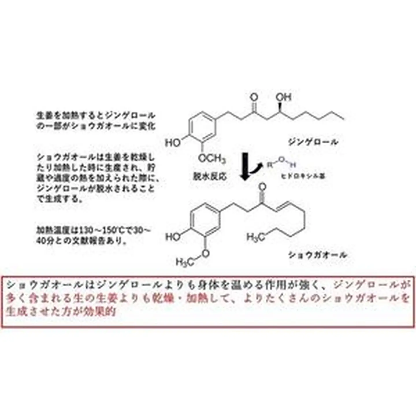 蒸し生姜シロップ2本セット 栽培期間中農薬不使用で自然な美味しさ：B130-026