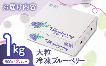 先行予約 大粒 冷凍ブルーベリー 約1000g（約500g×2pc） 【すみれファーム】果物 フルーツ くだもの 大粒 小分け 熊本県産ブルーベリー [ZEP007] 