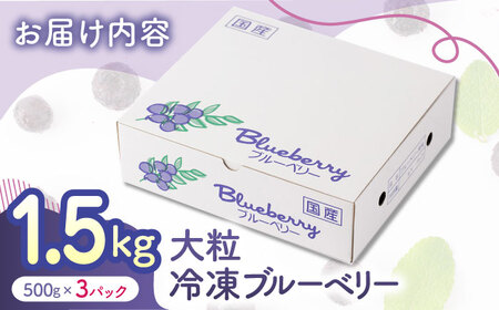 先行予約 大粒 冷凍ブルーベリー 約1500g（約500g×3pc） 【すみれファーム】果物 フルーツ くだもの 大粒 小分け 熊本県産ブルーベリー  [ZEP008]