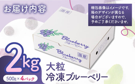 先行予約 大粒 冷凍ブルーベリー 約2000g（約500g×4pc）【すみれファーム】果物 フルーツ くだもの 大粒 小分け 熊本県産ブルーベリー  [ZEP009]