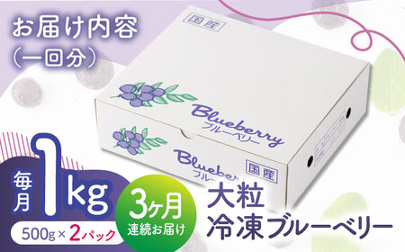 先行予約 【3回定期便】大粒 冷凍ブルーベリー 約1000g（約500g×2pc）【すみれファーム】果物 フルーツ くだもの 大粒 小分け 熊本県産ブルーベリー [ZEP010]