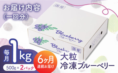 先行予約 【6回定期便】大粒 冷凍ブルーベリー 約1000g（約500g×2pc）【すみれファーム】果物 フルーツ くだもの 大粒 小分け 熊本県産ブルーベリー [ZEP011]