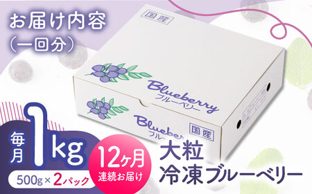 先行予約 【12回定期便】大粒 冷凍ブルーベリー 約1000g（約500g×2pc）【すみれファーム】果物 フルーツ くだもの 大粒 小分け 熊本県産ブルーベリー [ZEP012]