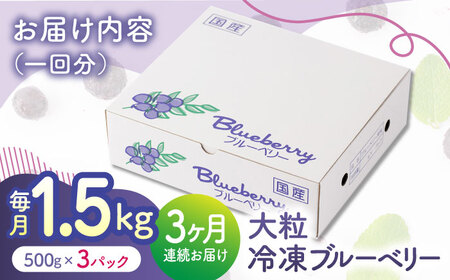 先行予約 【3回定期便】大粒 冷凍ブルーベリー 約1500g（約500g×3pc）【すみれファーム】果物 フルーツ くだもの 大粒 小分け 熊本県産ブルーベリー [ZEP013]