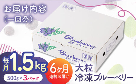 先行予約 【6回定期便】大粒 冷凍ブルーベリー 約1500g（約500g×3pc）【すみれファーム】果物 フルーツ くだもの 大粒 小分け 熊本県産ブルーベリー [ZEP014]