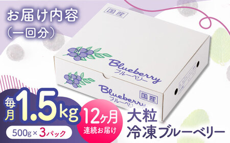 先行予約 【12回定期便】大粒 冷凍ブルーベリー 約1500g（約500g×3pc）【すみれファーム】果物 フルーツ くだもの 大粒 小分け 熊本県産ブルーベリー [ZEP015]