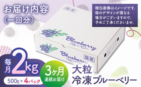 先行予約 【3回定期便】大粒 冷凍ブルーベリー 約2000g（約500g×4pc）【すみれファーム】果物 フルーツ くだもの 大粒 小分け 熊本県産ブルーベリー [ZEP016]