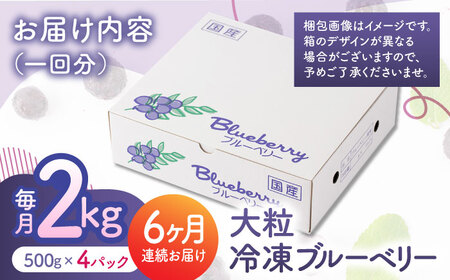 先行予約 【6回定期便】大粒 冷凍ブルーベリー 約2000g（約500g×4pc）【すみれファーム】果物 フルーツ くだもの 大粒 小分け 熊本県産ブルーベリー [ZEP017]