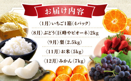 【5回定期便】厳選フルーツ＆旬のお米定期便（ いちご ぶどう 梨 お米 みかん ）/ 果物定期便 果物 お米 米 フルーツ定期便 フルーツ 定期 / 大村市 / おおむら夢ファームシュシュ[ACAA082]