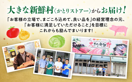 【2026年4月中旬発送開始】長崎県産 不知火 約5kg / 不知火 しらぬい 果物 フルーツ 柑橘 デコポン でこぽん 柑橘 みかん 産地直送  季節 / 大村市 / かとりストアー[ACAN005]