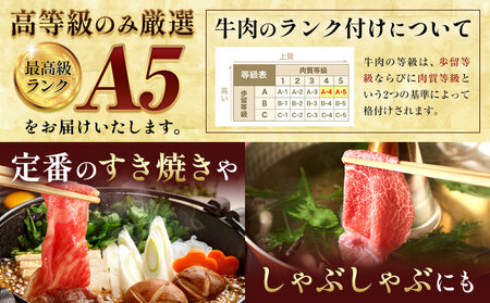 【12ヶ月定期便】黒毛和牛 牛肉 A5 ロース 切り落とし 500g 定期便 田中畜産
