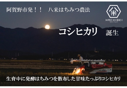 【令和7年産】【環境大臣賞受賞】【特別賞受賞】 3ヶ月定期便 無洗米 コシヒカリ 10kg×3回 計30kg 農家直送 ほんのり甘い「はちみつ農法」 白米 精米 HACHIBEI 八米 新潟県、米、こめ、コメ  1L16073