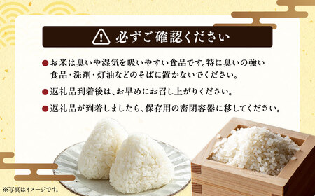 〈令和7年産〉浦臼産 ゆめぴりか 精白米 5kg×1袋 【2026年1月下旬-8月下旬迄順次発送予定】 米 お米 ブランド米 北海道産 北海道 浦臼町