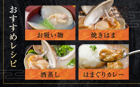 大洗産鹿島灘天然はまぐり 2㎏ 冷蔵 お吸い物 ハマグリ 蛤 貝 砂抜き処理 魚介類 大洗産 天然 はまぐり_BQ010