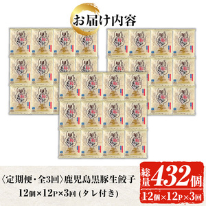 【3か月定期便】鹿児島黒豚生餃子合計144個（12個×12P）を3回お届け♪【00-008-19-TK】