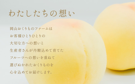 桃 2026年 先行予約 清水 白桃 5～6玉入り(約1.5kg) 贈答用 もも モモ 岡山県 赤磐市産 国産 フルーツ 果物 ギフト 