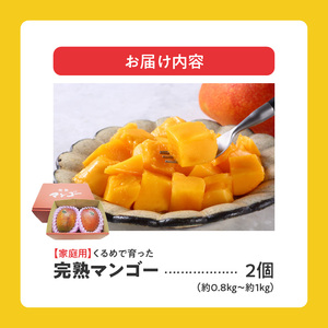 【2026年6月以降お届け】【家庭用】くるめで育った完熟マンゴー（2玉：約0.8～1kg）_先行予約 家庭用 くるめで育った 完熟マンゴー 2個 約0.8～1kg 甘い 子供も安心 果物 果実 スイーツ デザート マンゴー 国産 クール便 倉重農園 お取り寄せ お取り寄せスイーツ 福岡県 久留米市 送料無料 〔Fm016〕