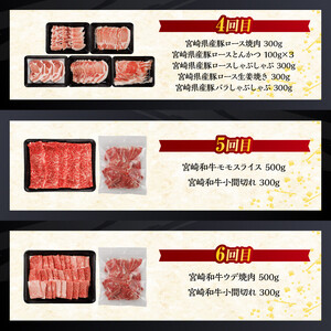 【訳あり定期便】宮崎和牛と宮崎県産豚肉6ヶ月定期便 ミヤチク6回お届け 牛肉 豚肉