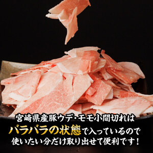 【訳あり定期便】宮崎県産豚肉お楽しみセット6ヶ月定期便 ミヤチク 6回お届け 豚肉